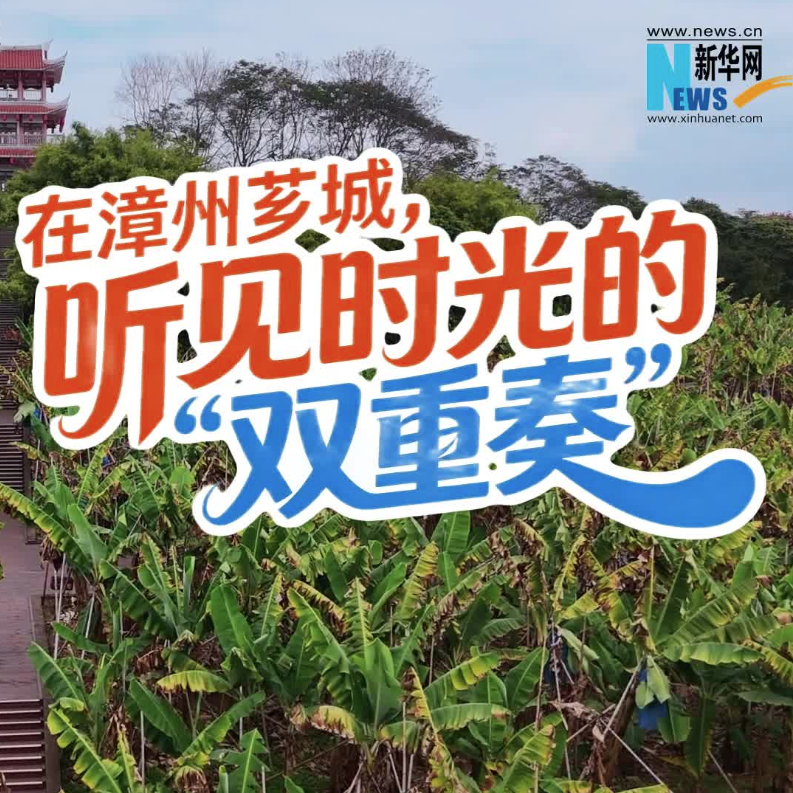 新华网