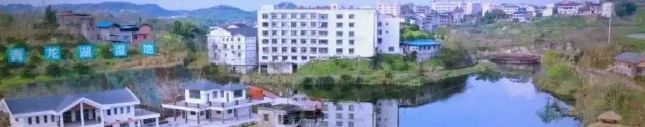 美丽小镇丨重庆新立镇:以橘为媒 多元融合