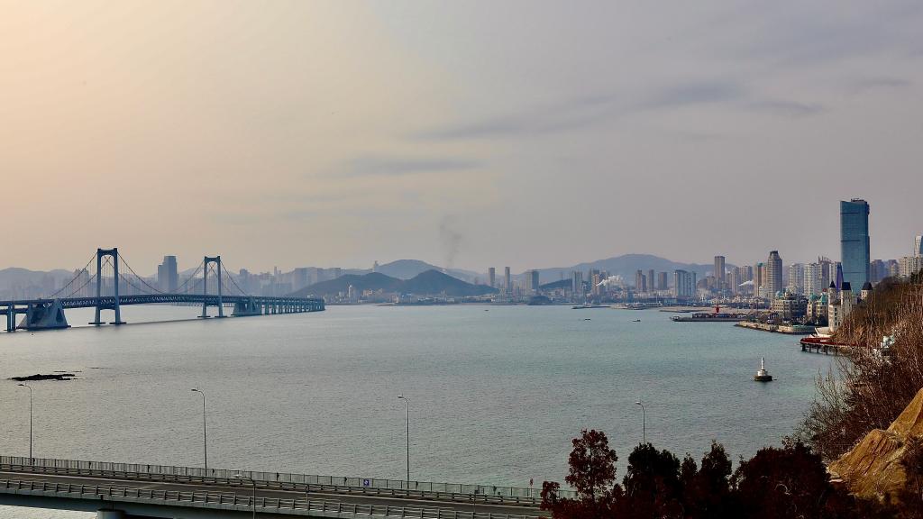 美丽城市丨大连:滨海旅游胜地,人与自然和谐共生的生态之城