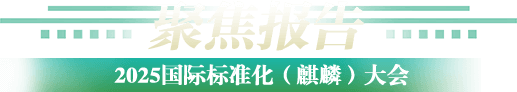 聚焦报告